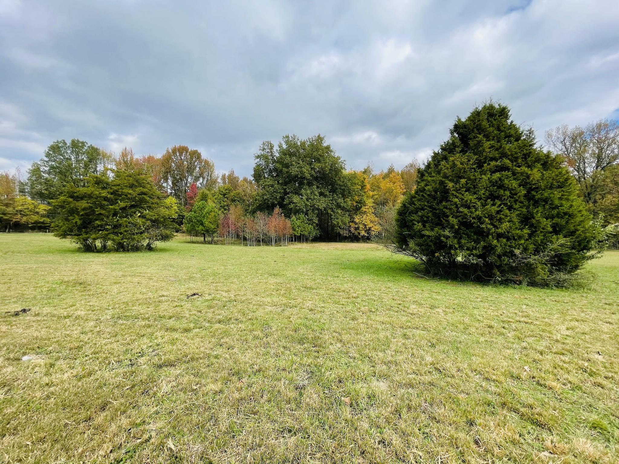 391 Pendleton Road Morrison, TN 37357 - Photo 21 of 35 a view of a field with an ocean