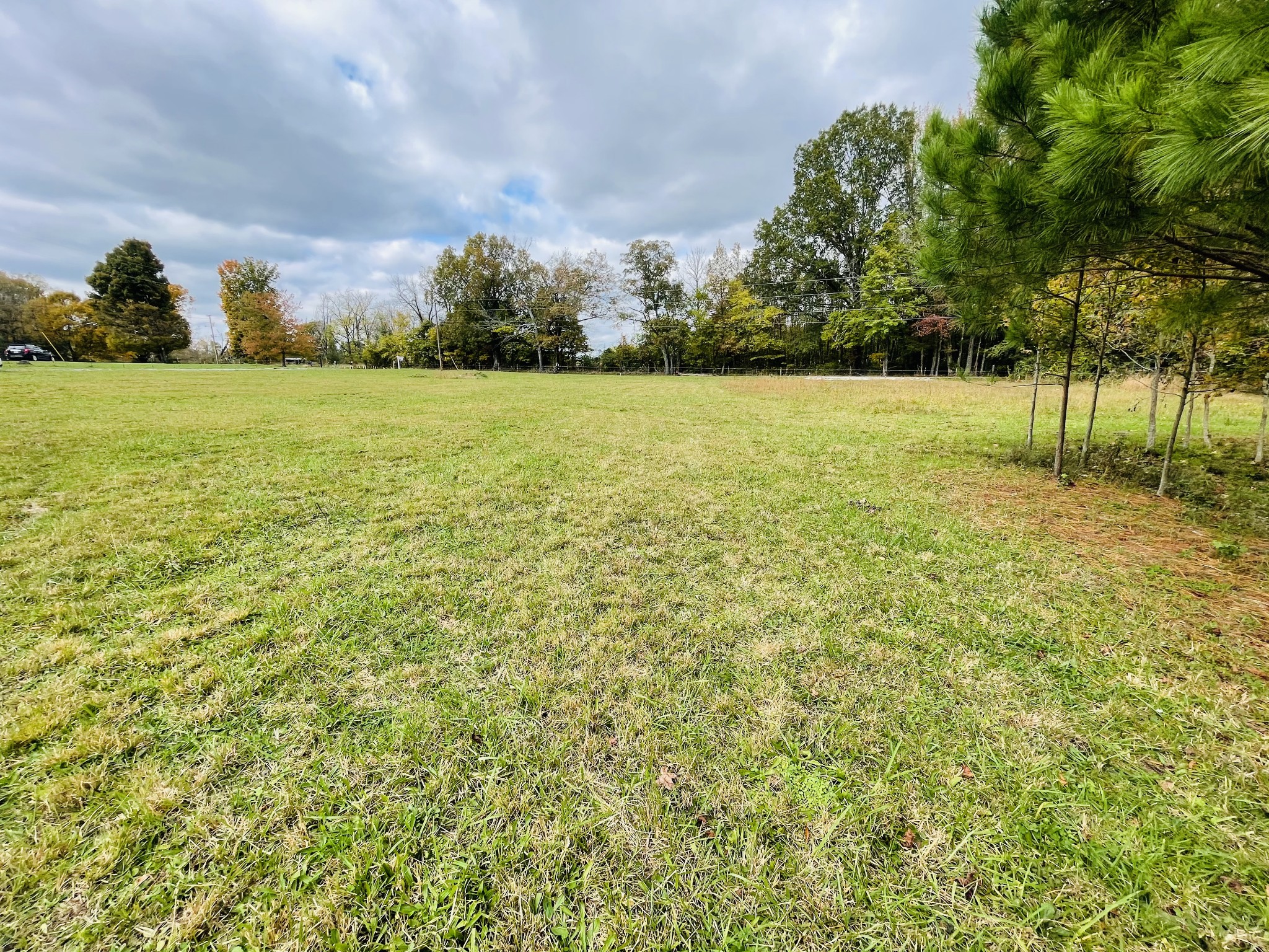 391 Pendleton Road Morrison, TN 37357 - Photo 23 of 35 a view of a field with an trees in the background