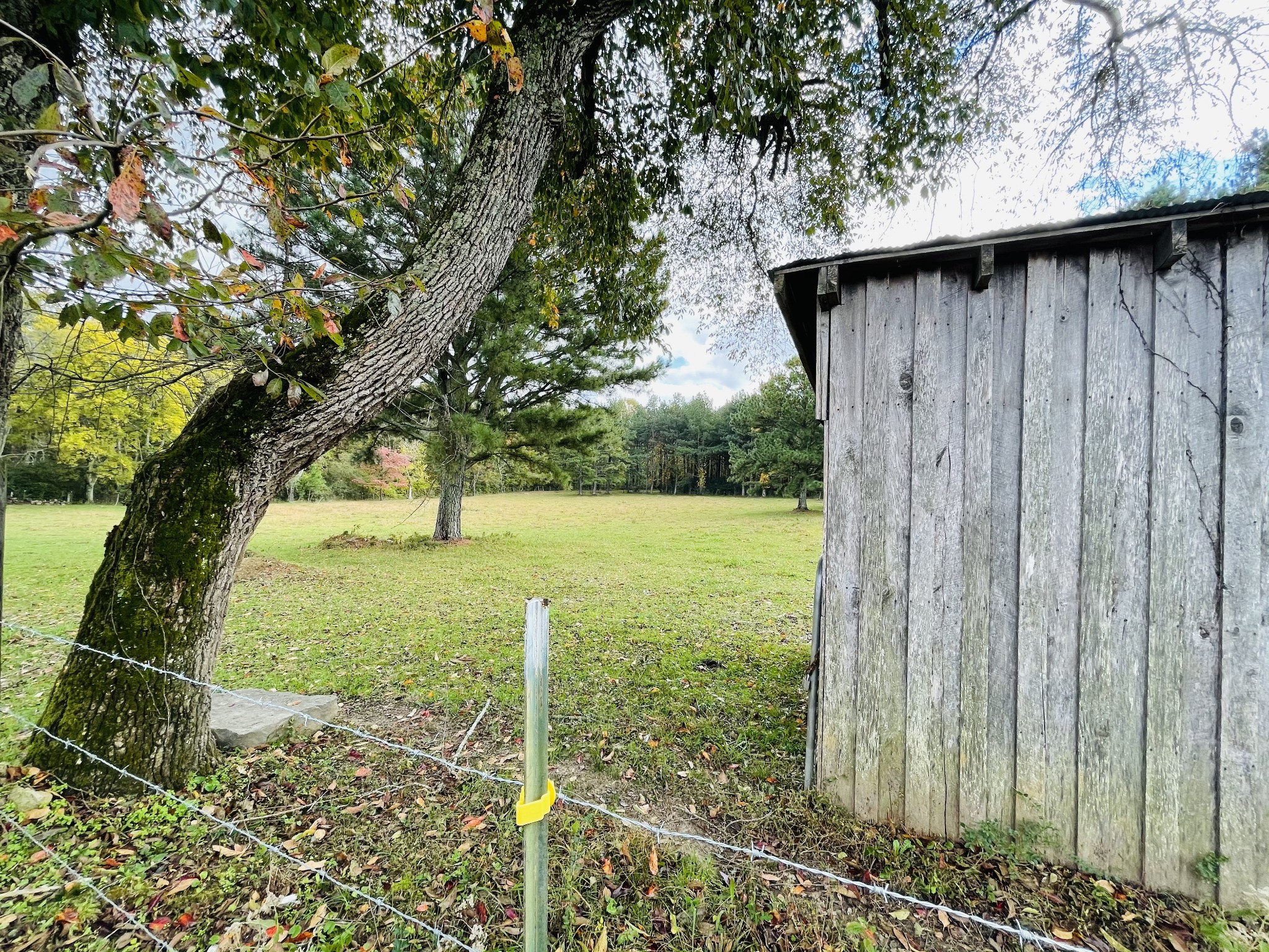 391 Pendleton Road Morrison, TN 37357 - Photo 29 of 35 a view of backyard with green space