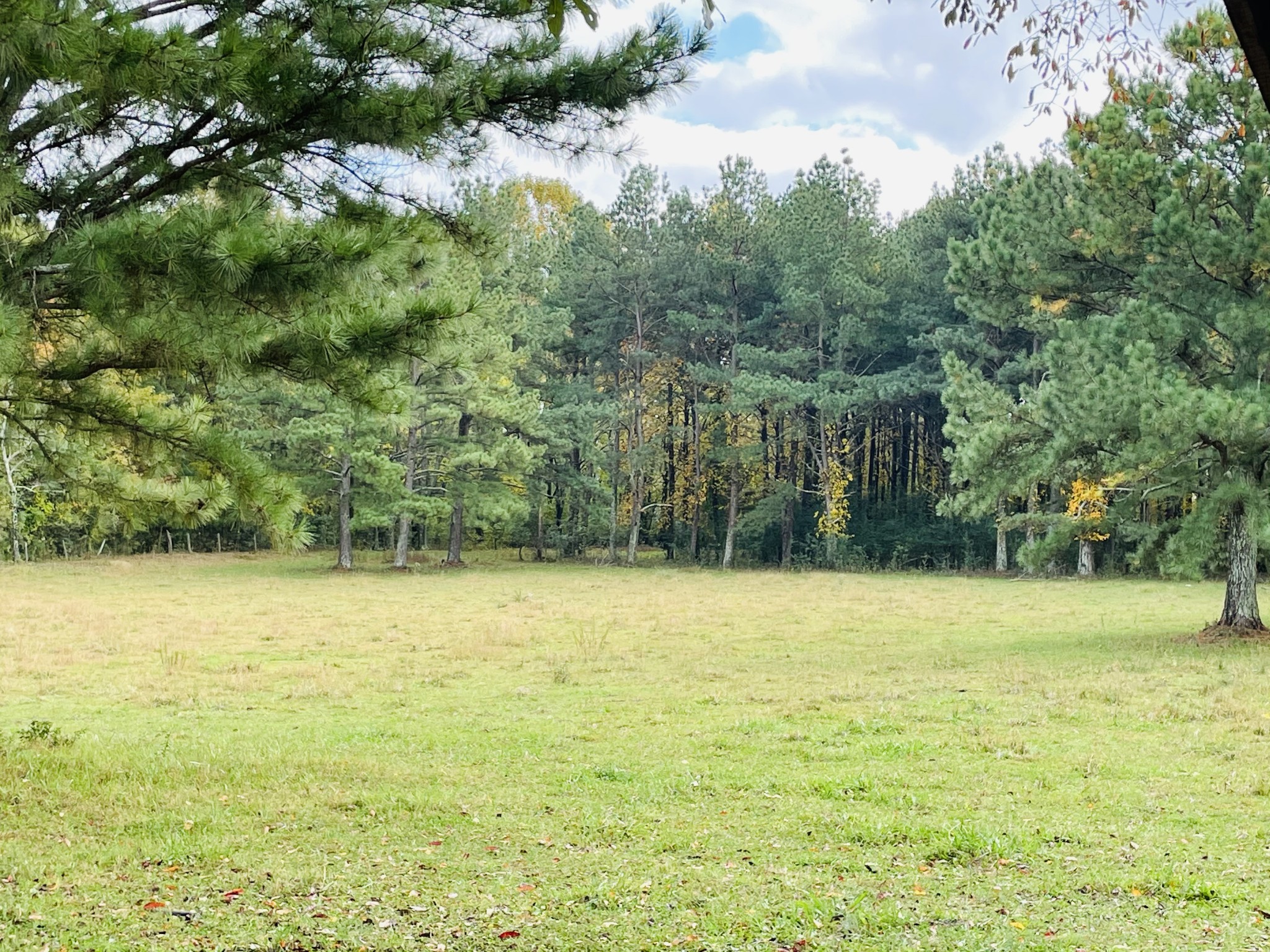 391 Pendleton Road Morrison, TN 37357 - Photo 35 of 35 a view of a field with an ocean