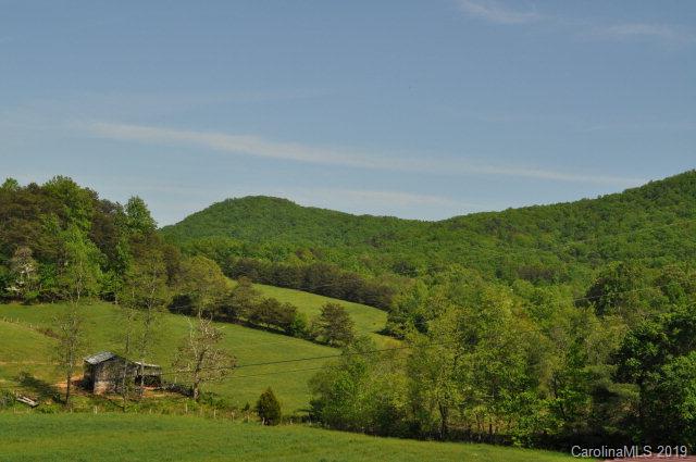 105 Randall Road Marion, NC 28752 - Photo 4 of 23 Gallery Image 4