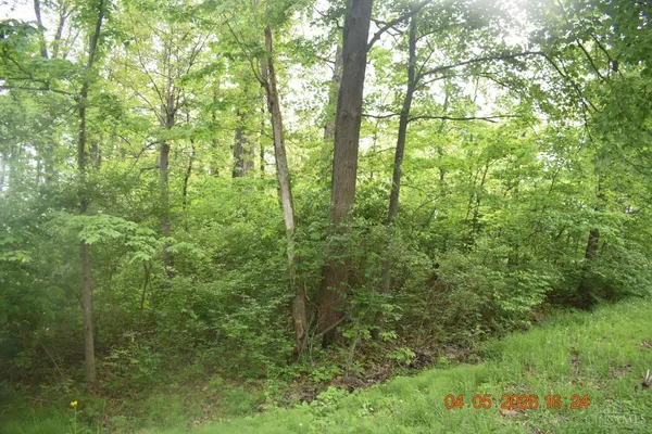 $29,900 | 0 Schiltz Drive, Unit 210, Fayetteville, OH 45118
