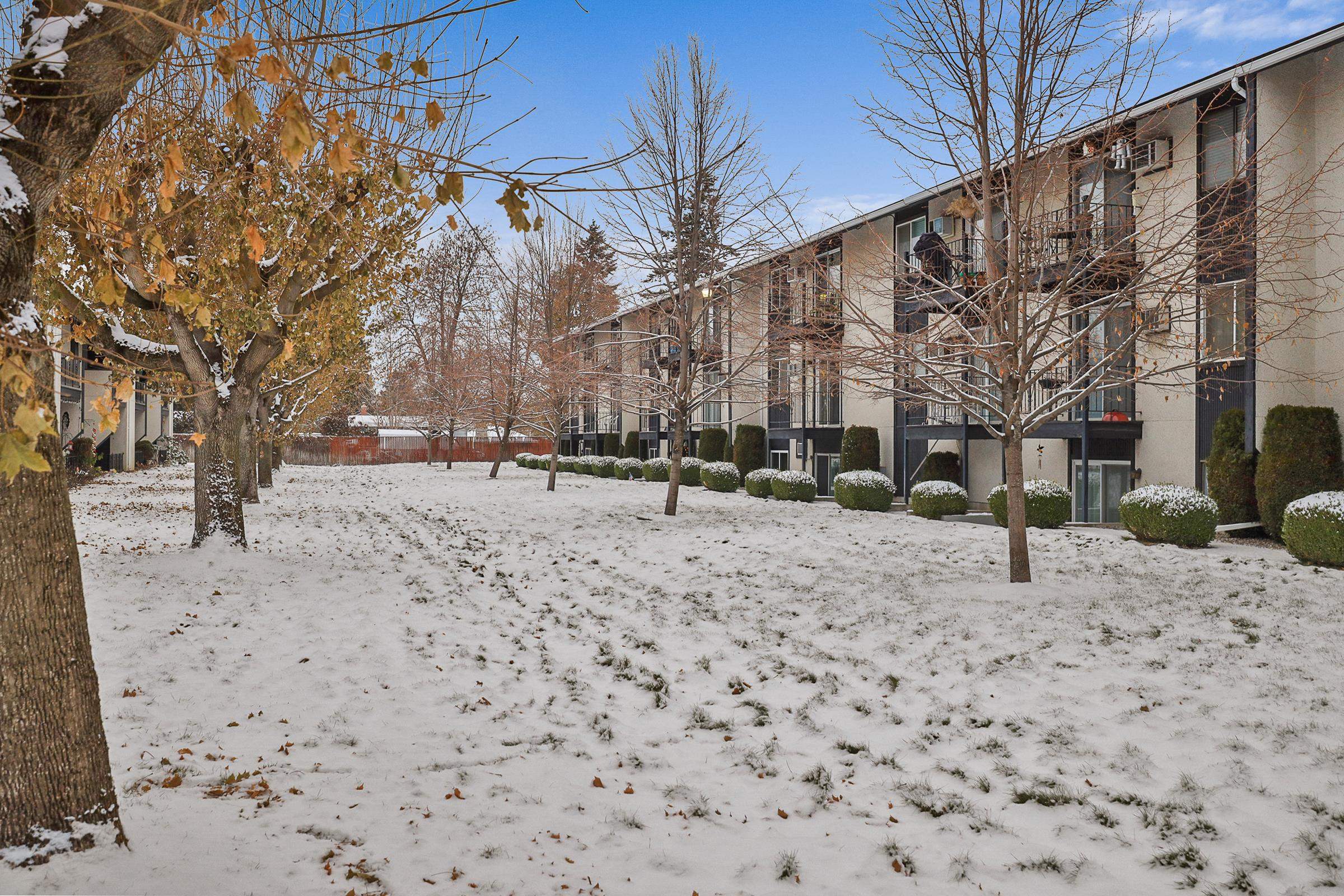 301 North Raymond Road, Unit B Spokane Valley, WA 99206 - Photo 17 of 20 Gallery Image 17