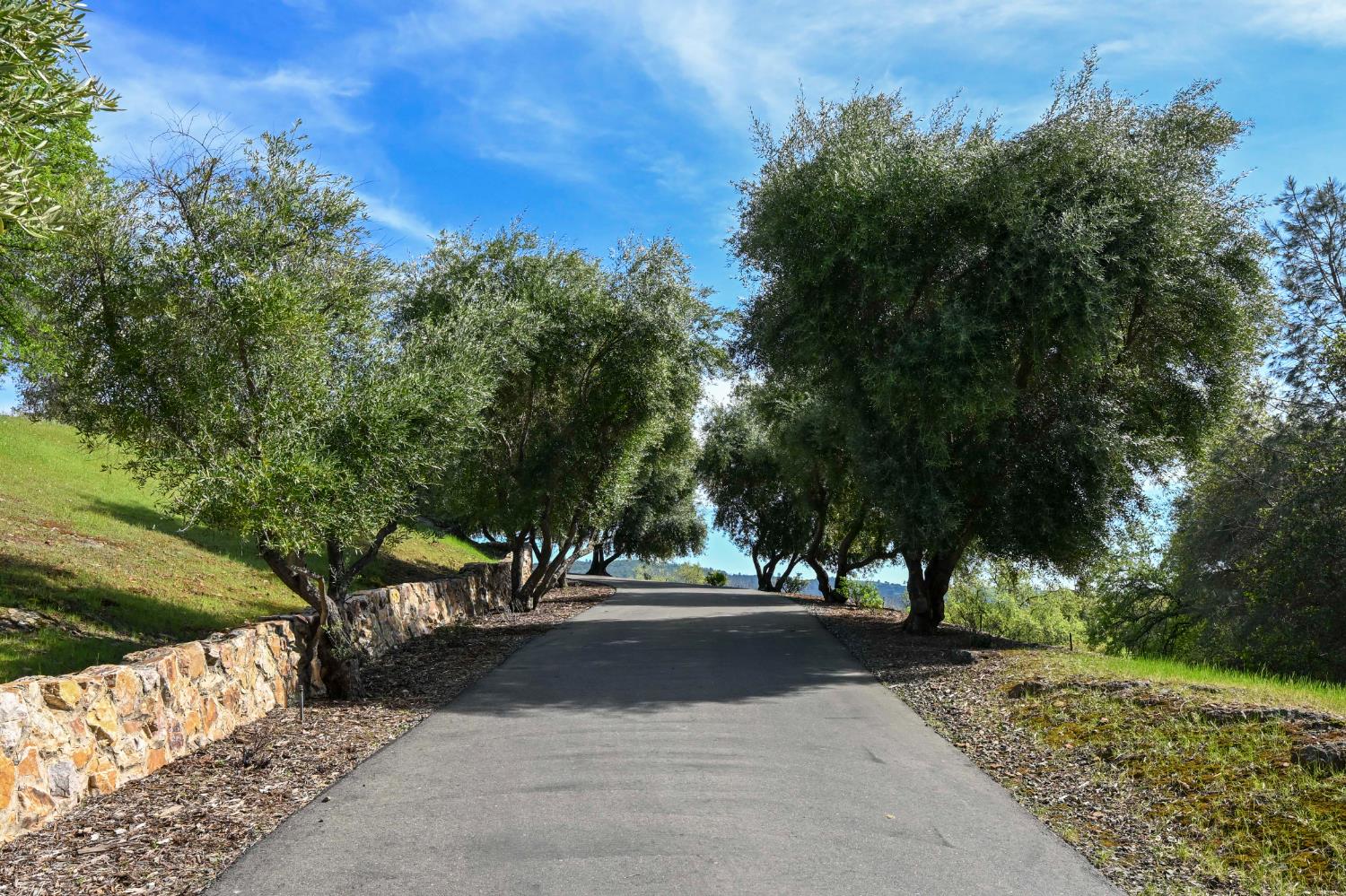 2581 Shirland Tract Road Auburn, CA 95603 - Photo 4 of 61 a view of street with with lots of trees