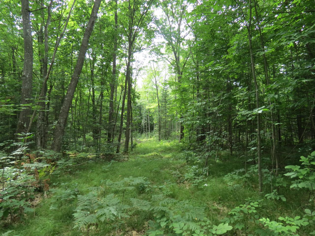 On On Slizewski Road Rhinelander, WI 54501 - Photo 14 of 18 Gallery Image 14