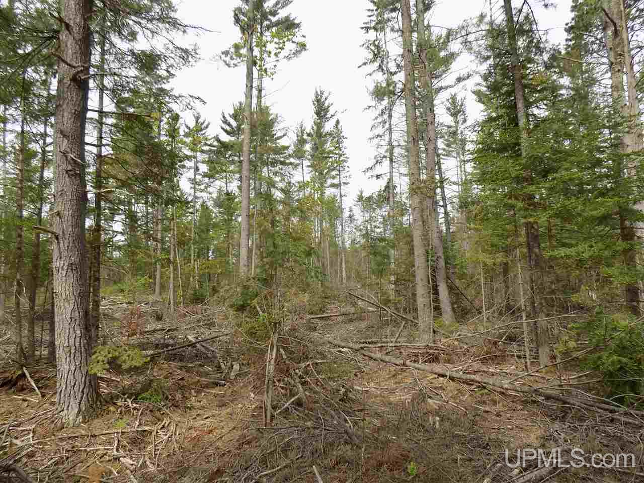 Tbd Slim's Road, Unit PARCEL B Manistique, MI 49854 - Photo 7 of 21