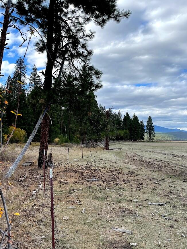 10 Acres Off Round Lake Road Klamath Falls, OR 97601 - Photo 5 of 10 g5
