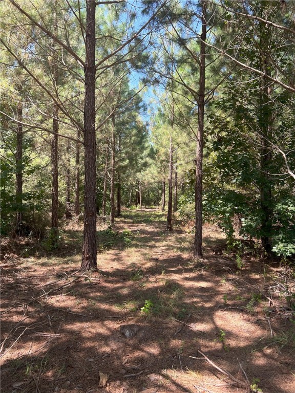 325 Dunns Creek Road Donalds, SC 29638 - Photo 3 of 7