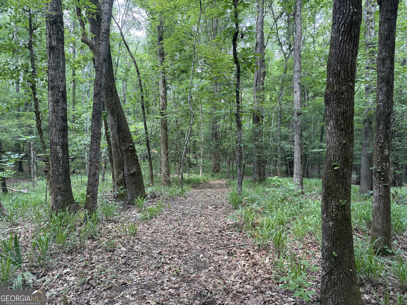 651 Branan Road Toomsboro, GA 31090 - Photo 5 of 53