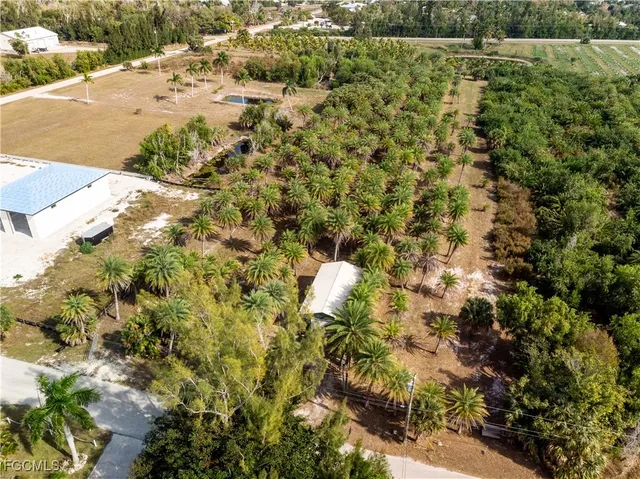 a view of a bunch of trees and bushes