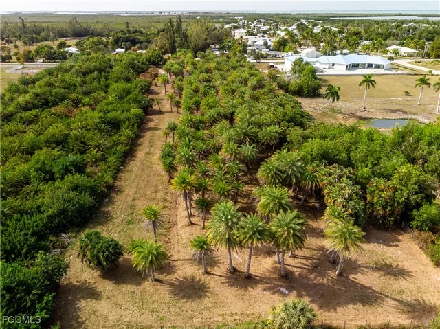 a view of a yard with blue trees