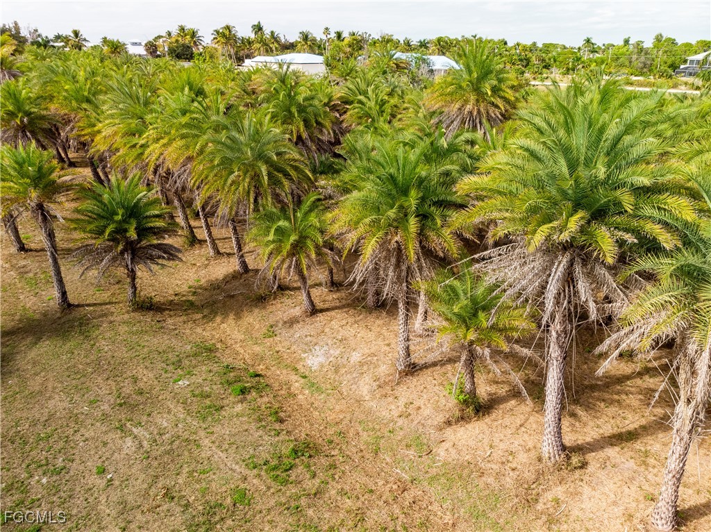 15890 Quail Trail Bokeelia, FL 33922 - Photo 17 of 18 a view of a yard with blue trees