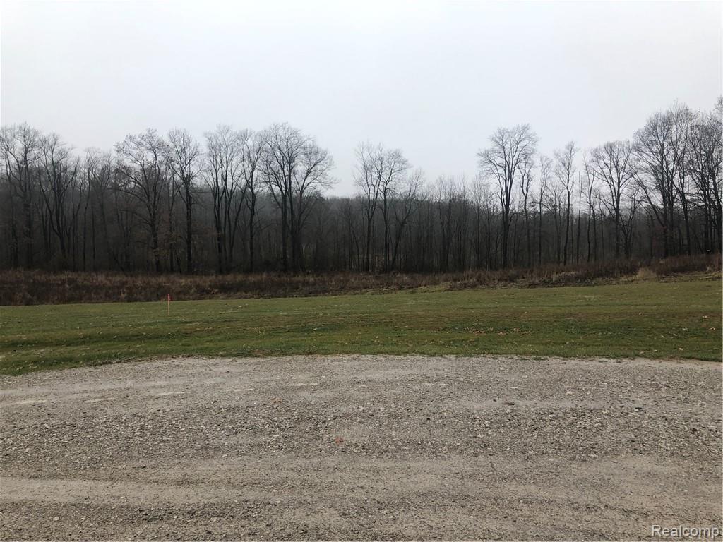 Parcel 9 Elevation Lane Howell, MI 48855 - Photo 6 of 10