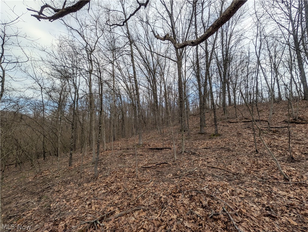 39000 Lees Run Road Cadiz, OH 43907 - Photo 15 of 49