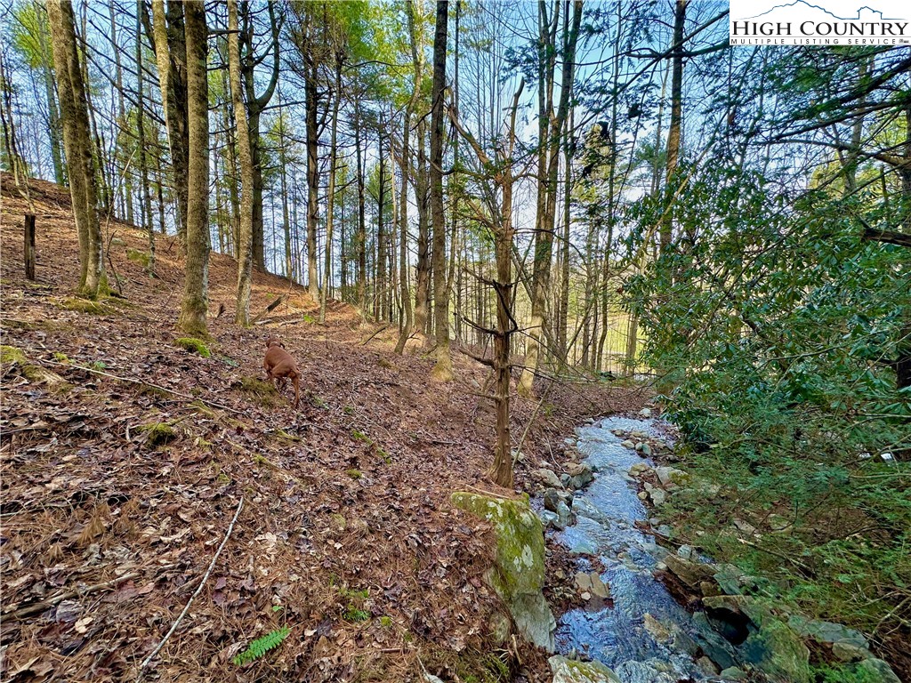 Don Hayes Road Boone, NC 28607 - Photo 4 of 26 Gallery Image 4