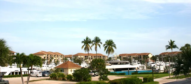 a view of a park with large trees