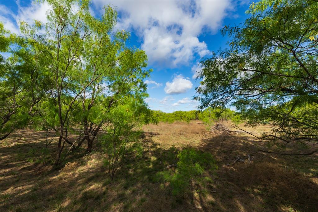 600 Fm 600 Haskell, TX 79521 - Photo 23 of 34 a view of lake