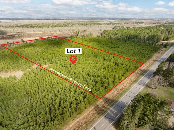 $49,900 | Lot 1 Scenic Highway, Bovey, MN 55709