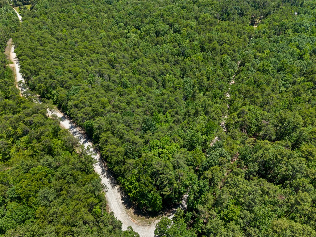 0 Pine Mountain Road Tamassee, SC 29686 - Photo 11 of 15