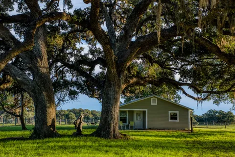 $4,945,000 | 1224 Haines Road, Sheridan, TX 77475