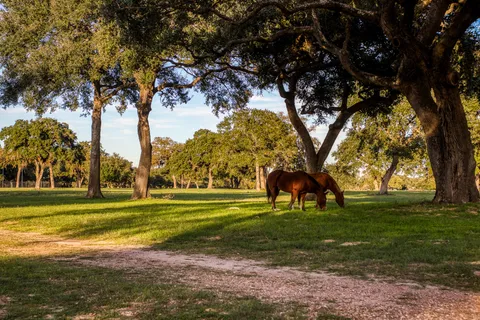 $4,945,000 | 1224 Haines Road, Sheridan, TX 77475