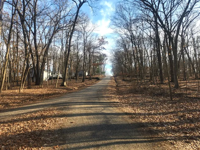 a view of park space with large trees