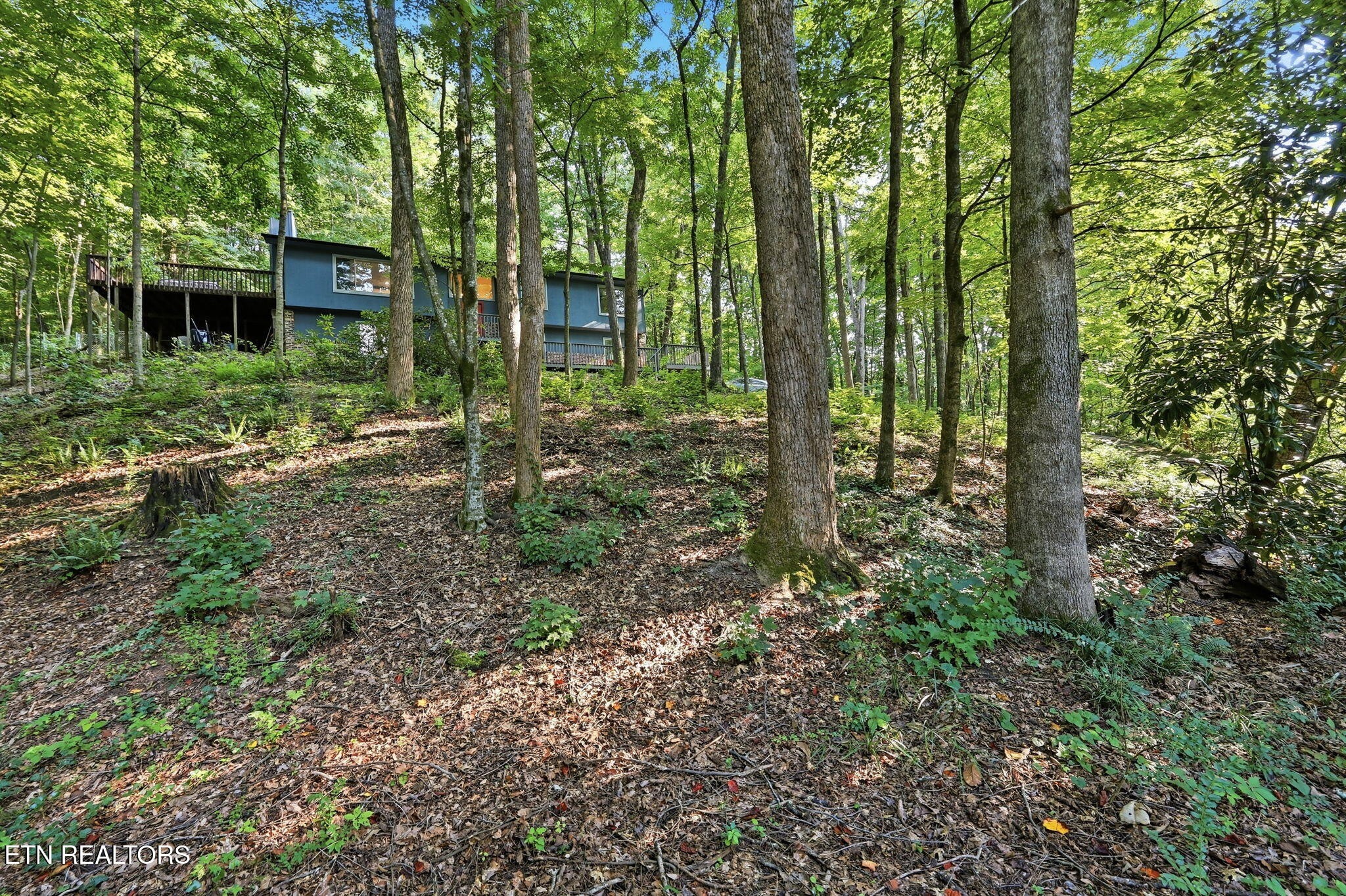 104 Connors Place Oak Ridge, TN 37830 - Photo 29 of 48 Gallery Image 29