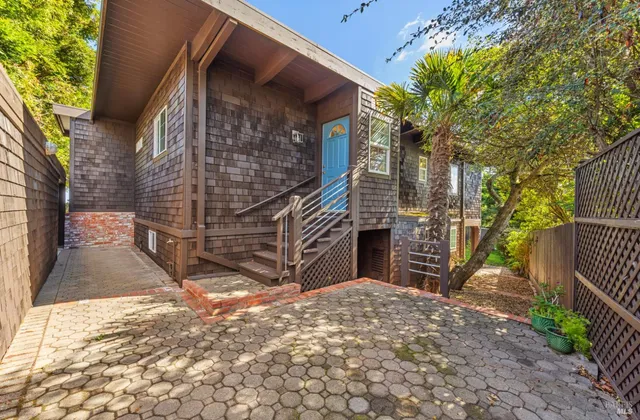 a view of a tree in a yard