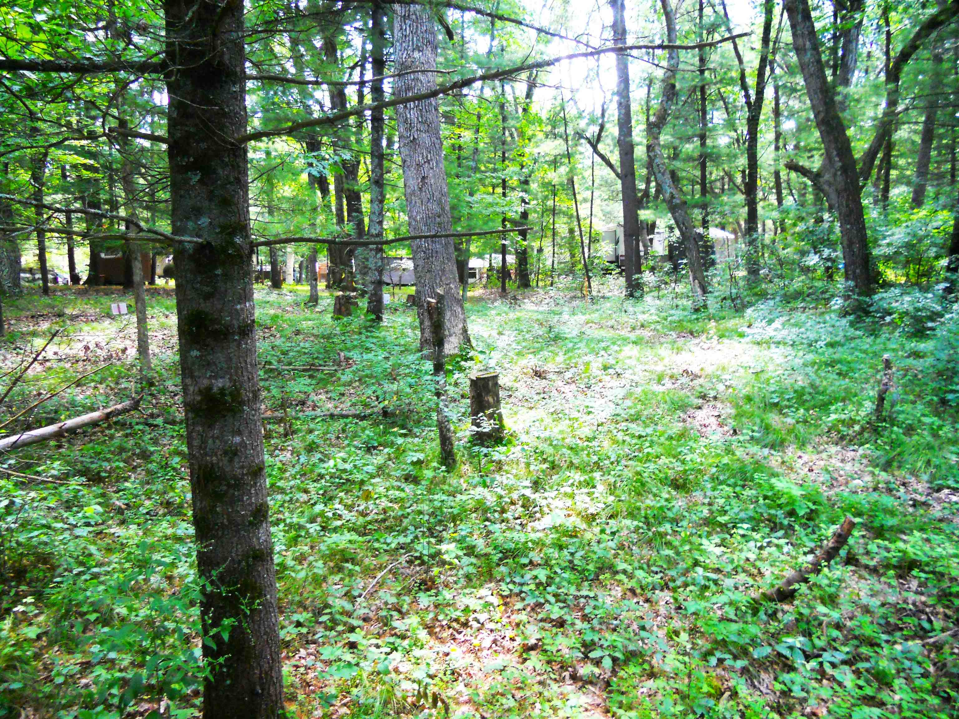 W4643 South Pearl Lake Road Redgranite, WI 54970 - Photo 8 of 13