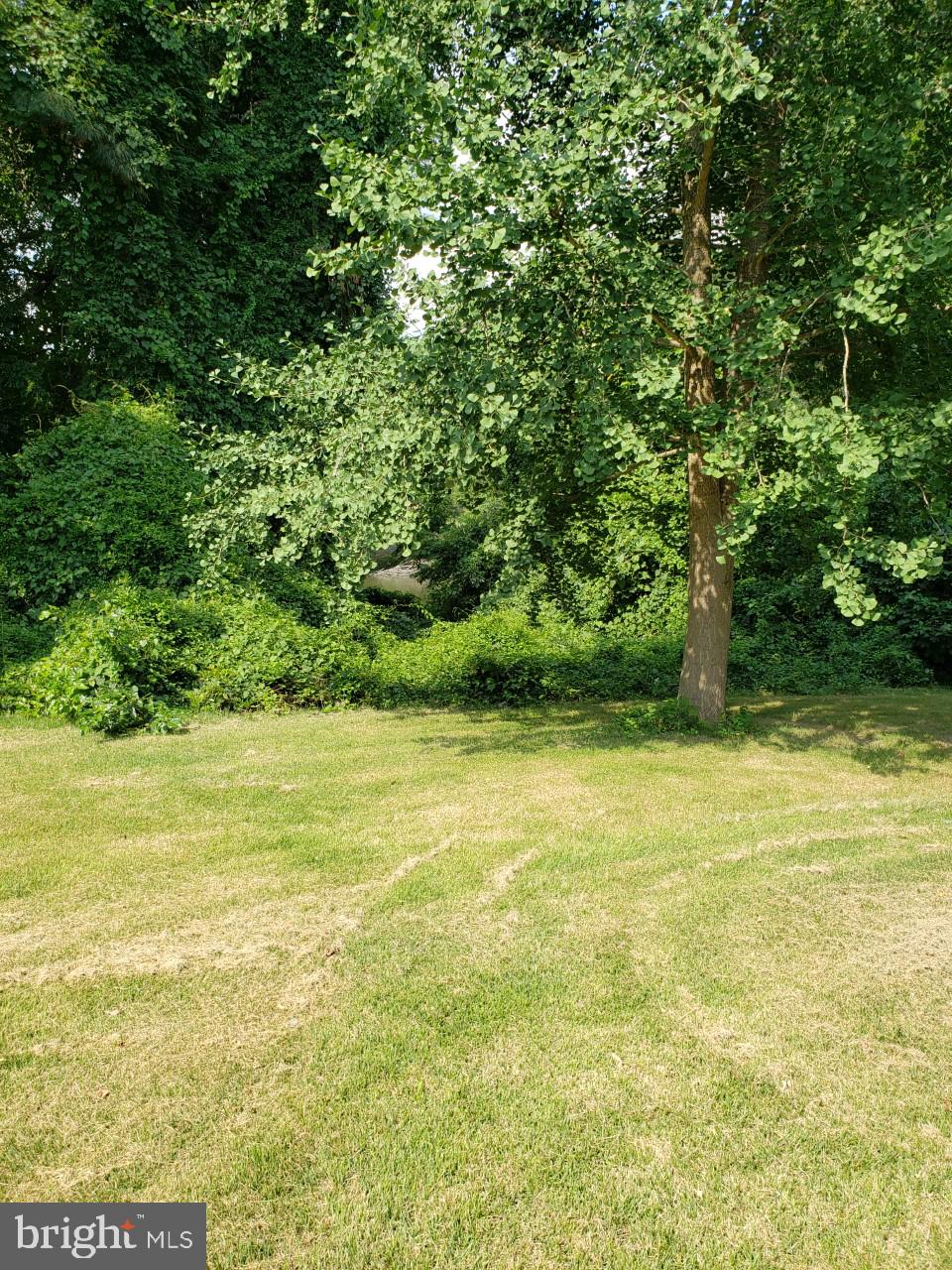 28672 Old Quantico Road Salisbury, MD 21801 - Photo 19 of 19 Back yard