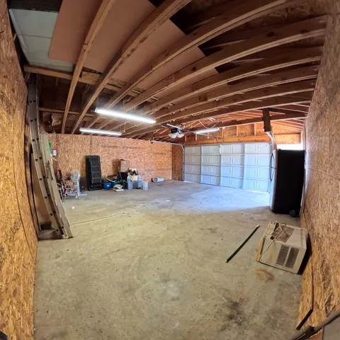 a view of a large trees with lots of trees