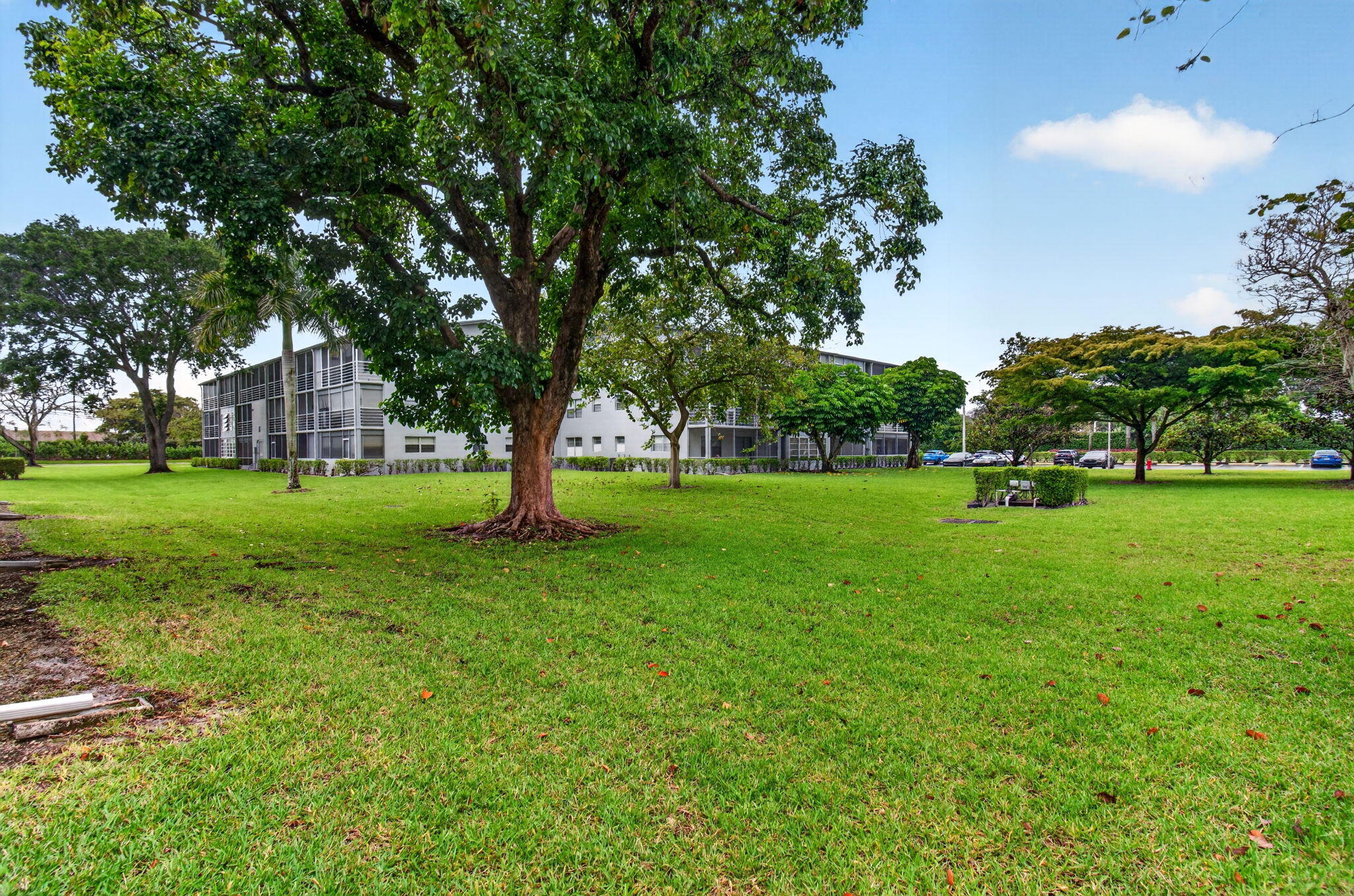 19 Suffolk A Boca Raton, FL 33434 - Photo 20 of 20 Grassy Area
