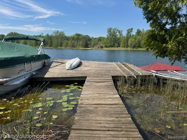 1702 Birch Road Attica, MI 48412 - Photo 18 of 38