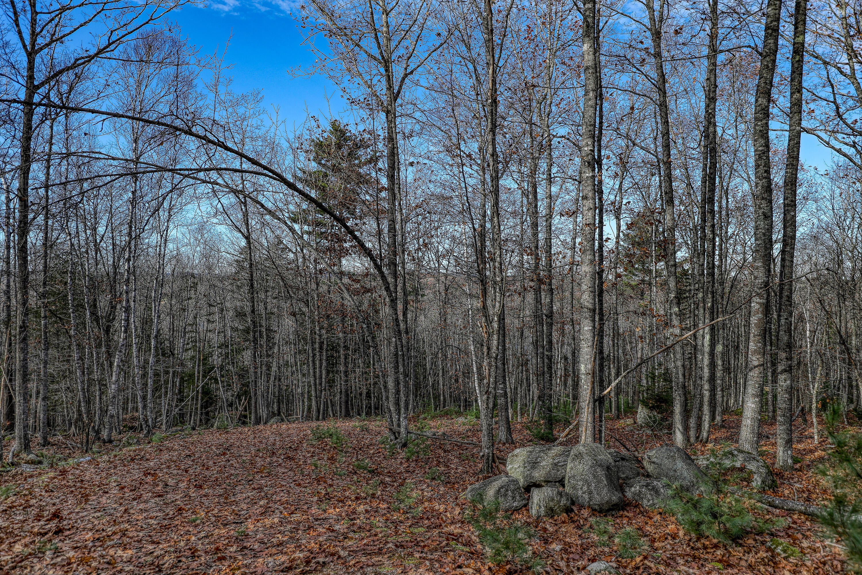 5 Newbury Neck Road Surry, ME 04684 - Photo 5 of 7