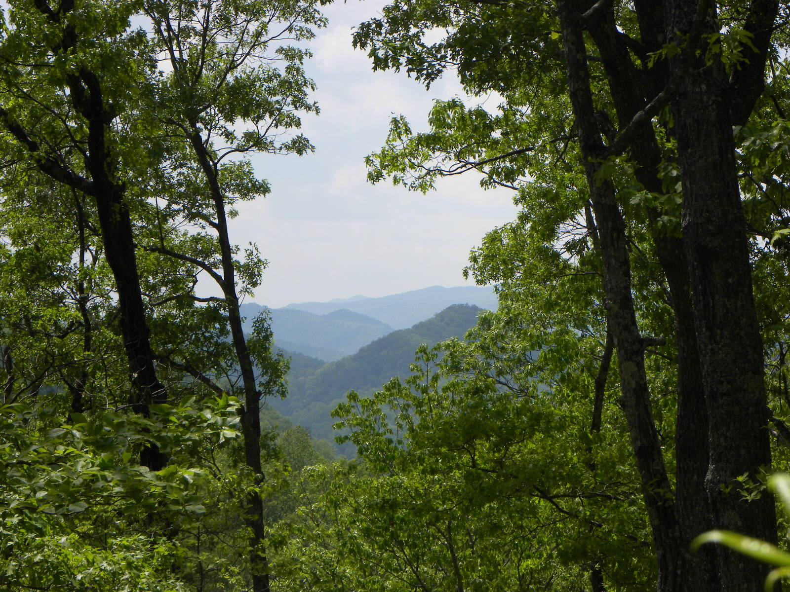 Lot 55-56 Long Rifle Road Walland, TN 37886 - Photo 1 of 23 Long_rifle_pic_1_431