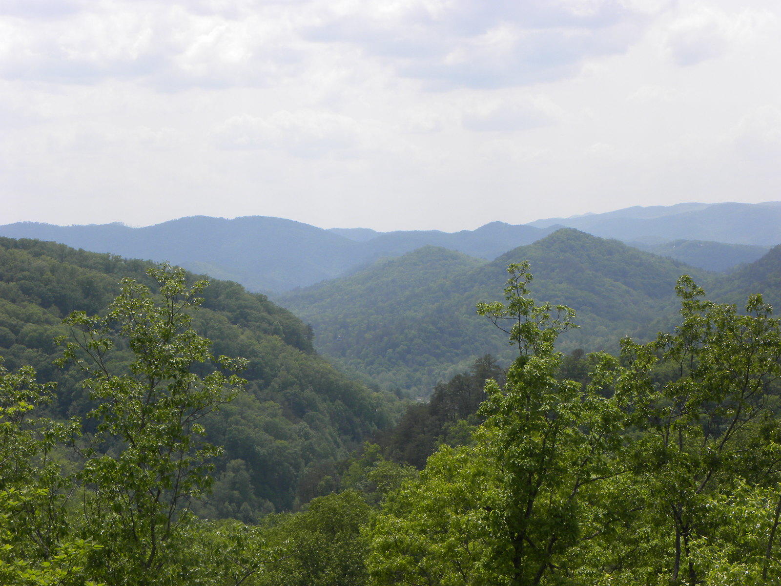 Lot 55-56 Long Rifle Road Walland, TN 37886 - Photo 2 of 23 Long_Rifle_Pic_5_638