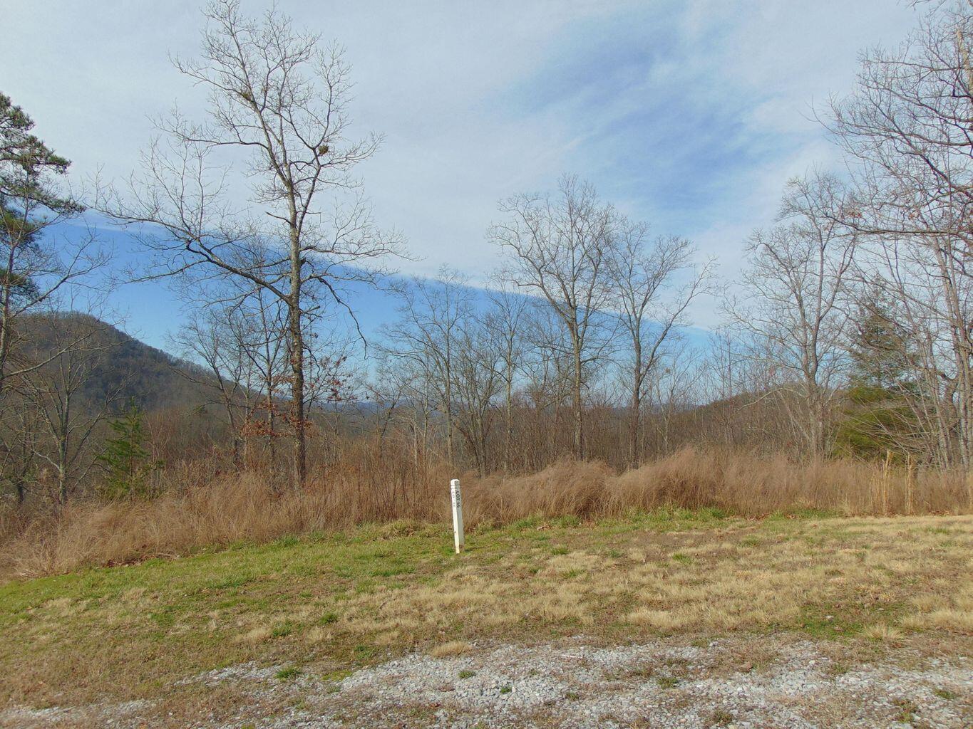 Lot 55-56 Long Rifle Road Walland, TN 37886 - Photo 12 of 23 52FFCE6A-F1E1-4B37-B16A-45BA0AA5755C