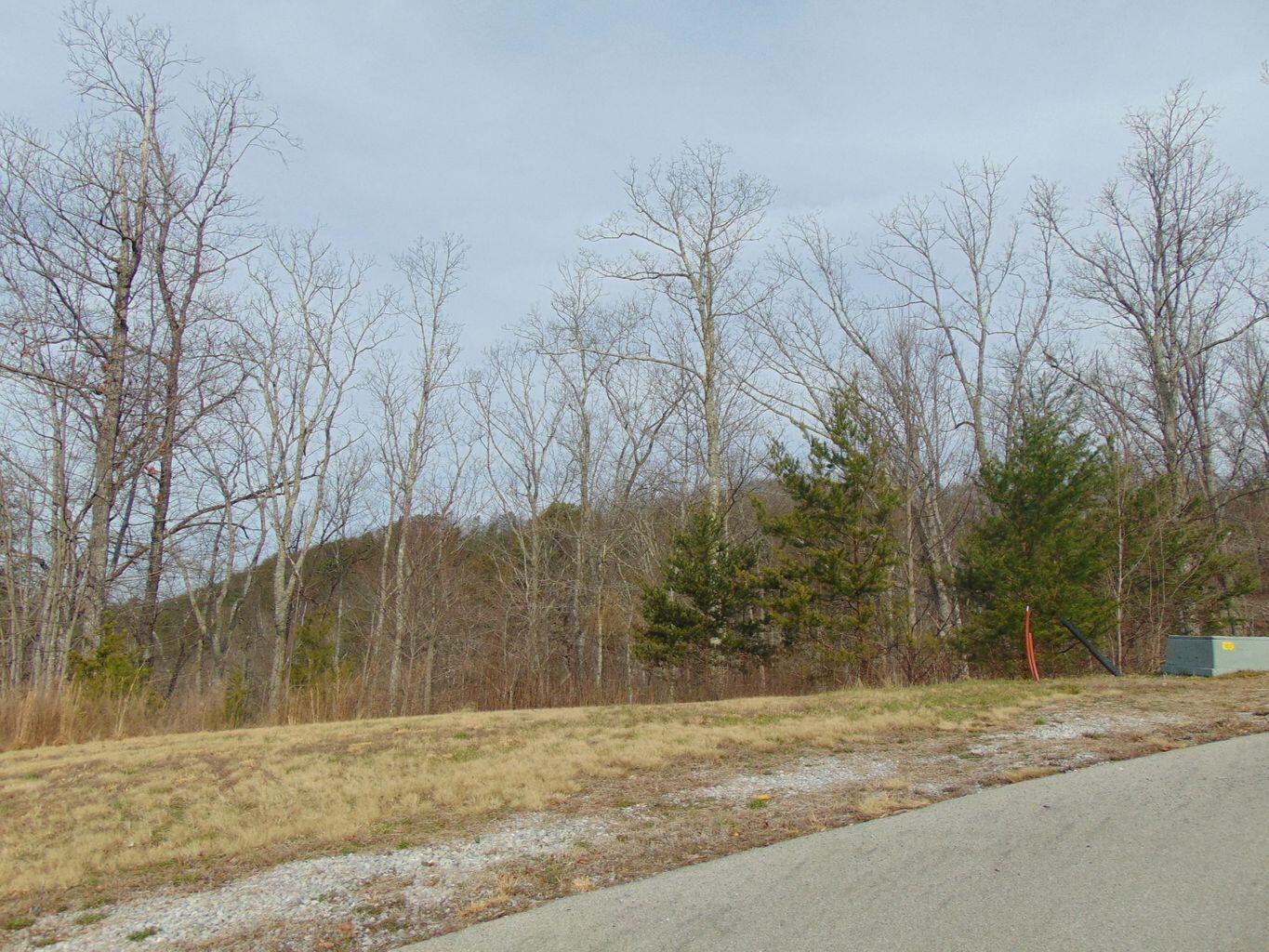 Lot 55-56 Long Rifle Road Walland, TN 37886 - Photo 13 of 23 C3E275FA-0F13-4E79-8351-A216A40CA257