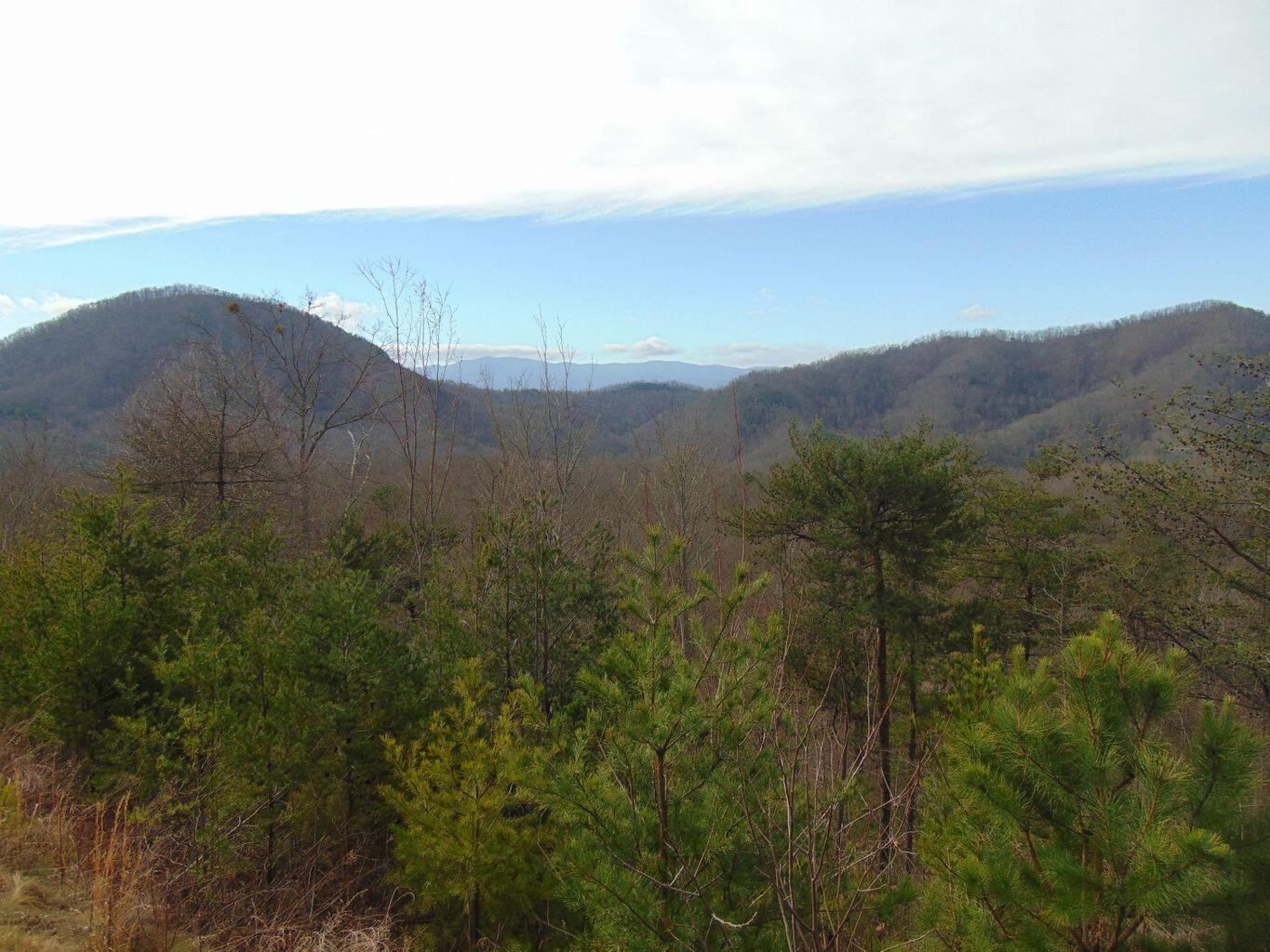 Lot 55-56 Long Rifle Road Walland, TN 37886 - Photo 14 of 23 61349913-301F-48ED-BB3D-8A65D7C1665E