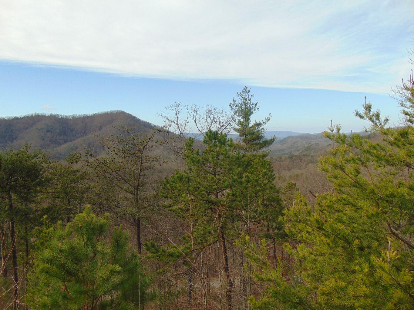 Lot 55-56 Long Rifle Road Walland, TN 37886 - Photo 15 of 23 C6074C4D-5AED-459B-9074-F861A2D0E81A