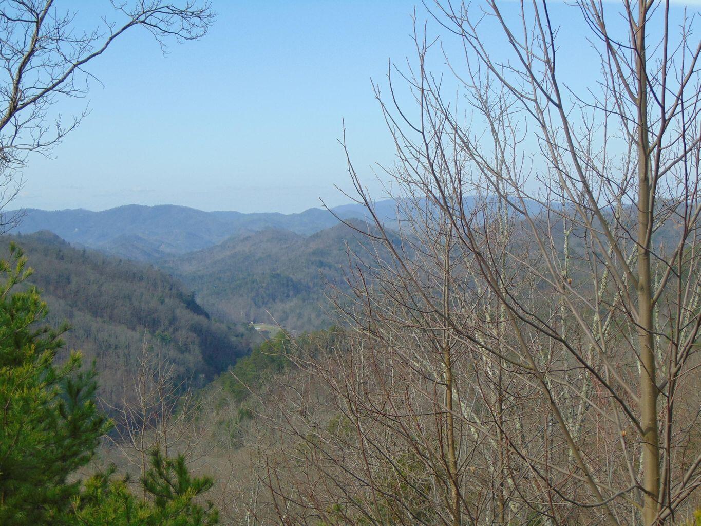 Lot 55-56 Long Rifle Road Walland, TN 37886 - Photo 18 of 23 E63F4AE6-78D7-4E8E-AE2E-361EAB865E83