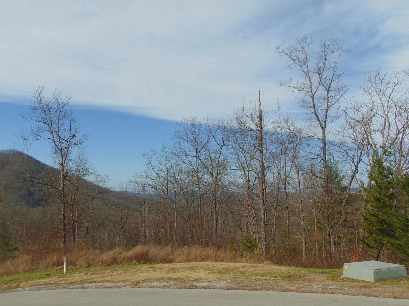 Lot 55-56 Long Rifle Road Walland, TN 37886 - Photo 19 of 23 C468C4BF-B470-4EEE-95AE-6F94F46FAEE4