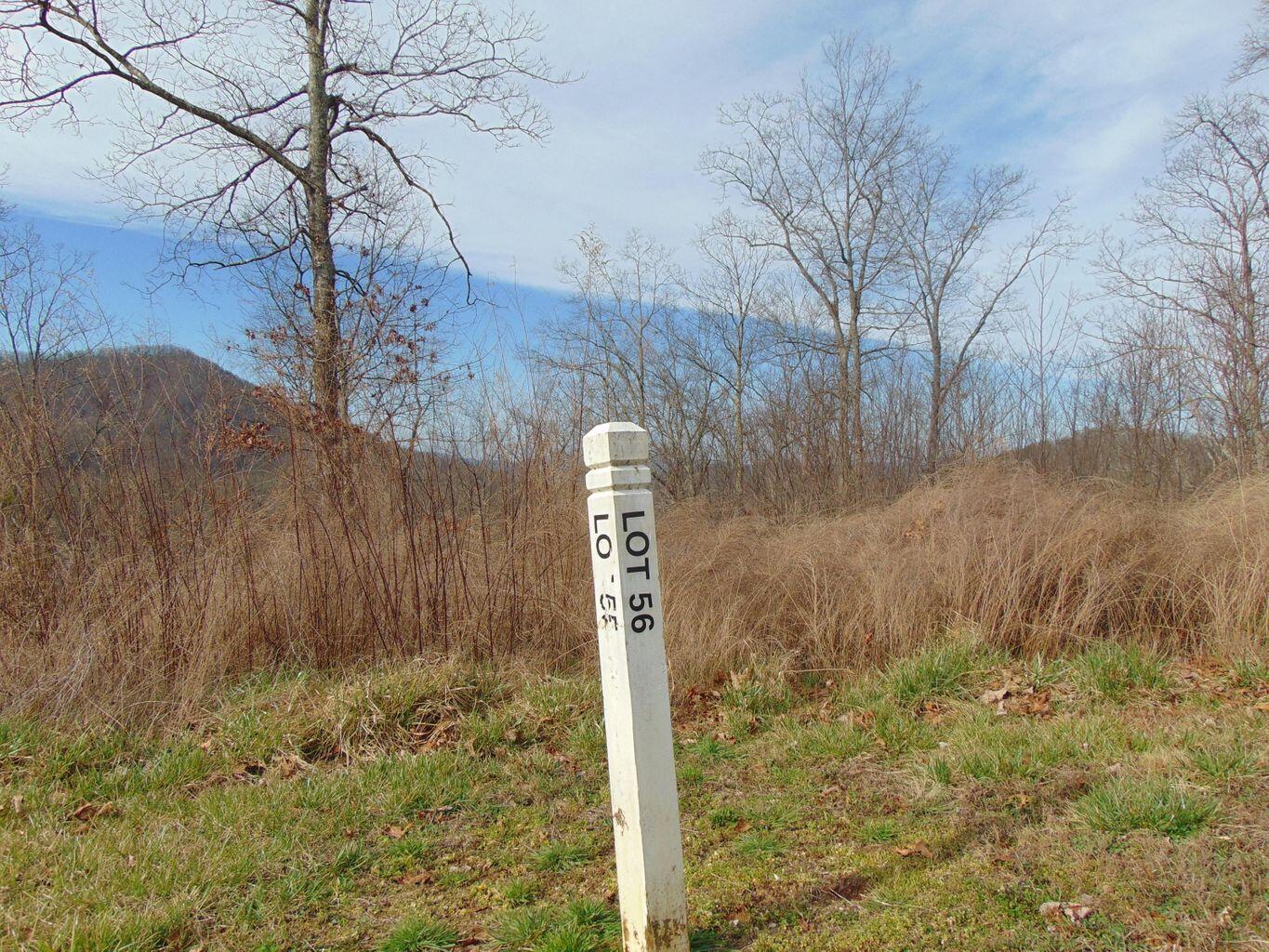 Lot 55-56 Long Rifle Road Walland, TN 37886 - Photo 20 of 23 FDE81BC7-17B4-4FB0-9C60-70785A25D54B