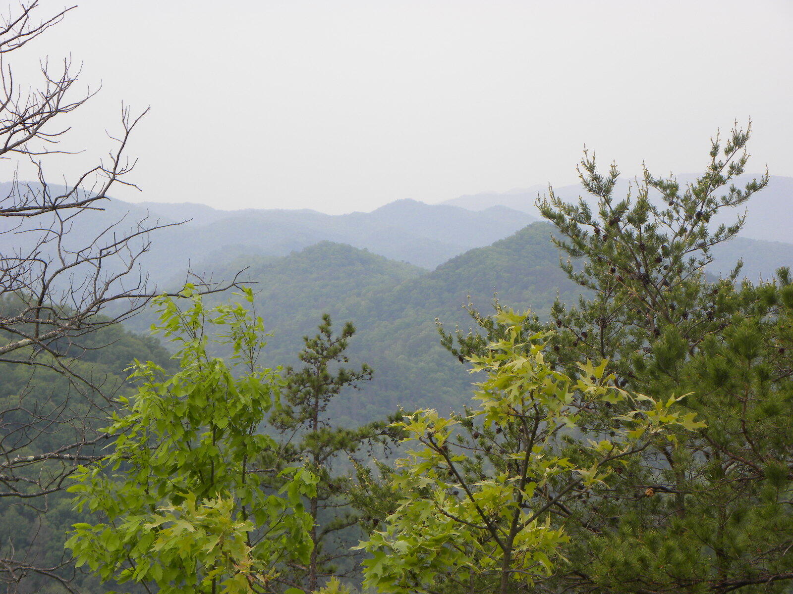 Lot 55-56 Long Rifle Road Walland, TN 37886 - Photo 3 of 23 Long_Rifle_Pic_6_625