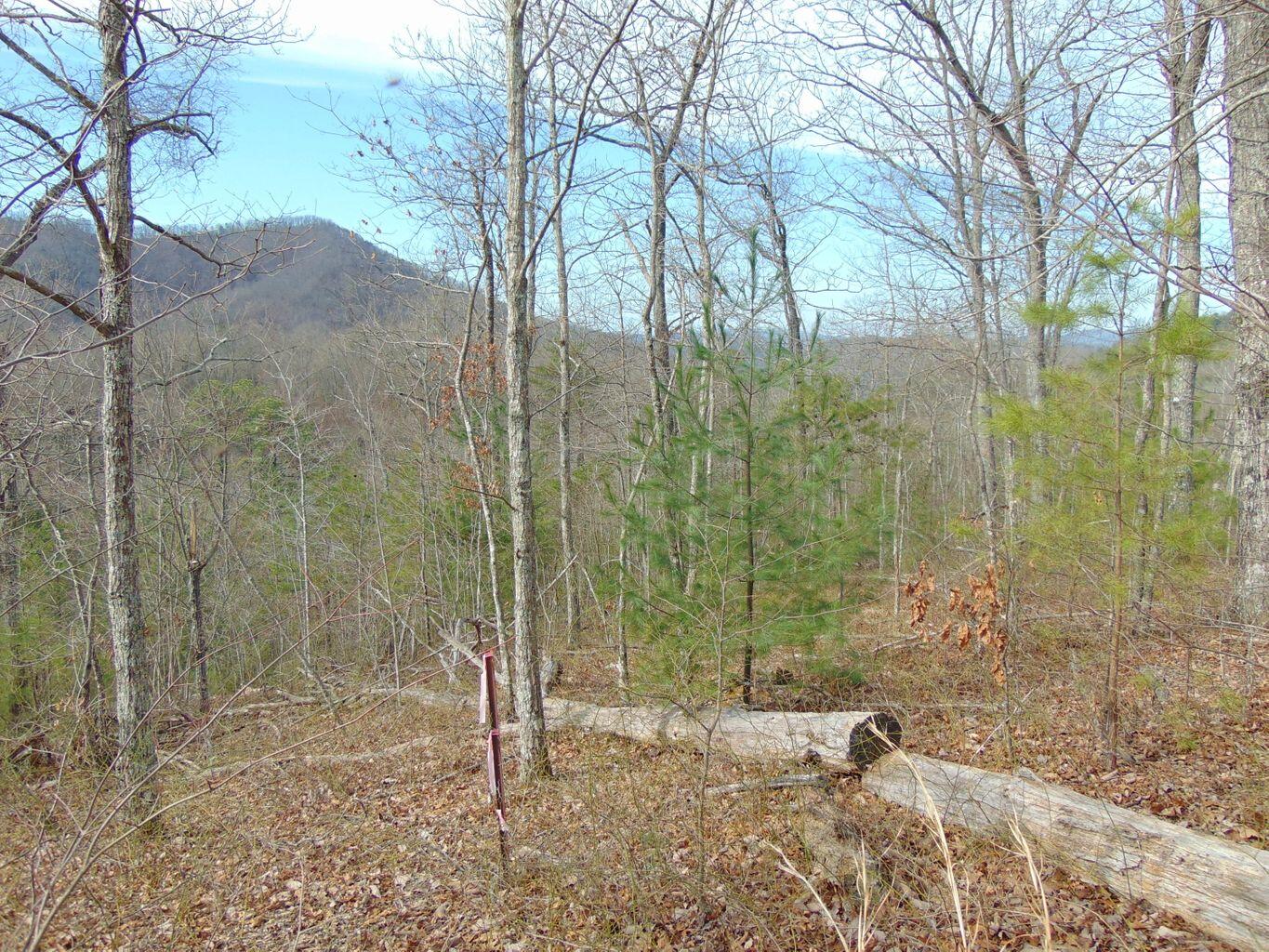 Lot 55-56 Long Rifle Road Walland, TN 37886 - Photo 21 of 23 C3136CA3-1FEA-45F3-B006-4A99FE5D0367