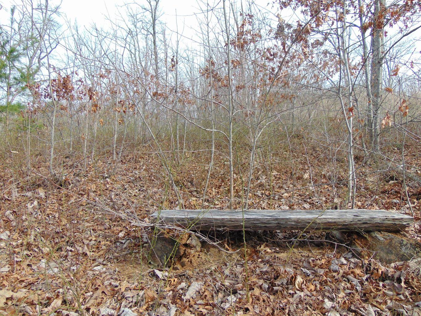 Lot 55-56 Long Rifle Road Walland, TN 37886 - Photo 22 of 23 363E0DCB-CF97-4FE4-91ED-F9293003172F