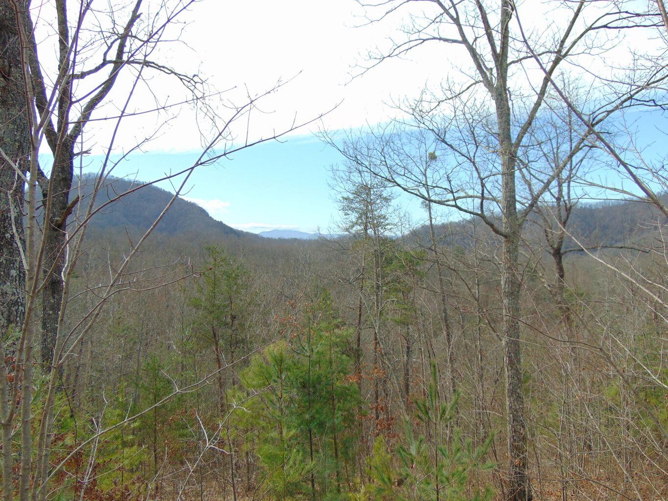 Lot 55-56 Long Rifle Road Walland, TN 37886 - Photo 23 of 23 CE4CBB88-39FD-4476-BB8C-FA302F545643