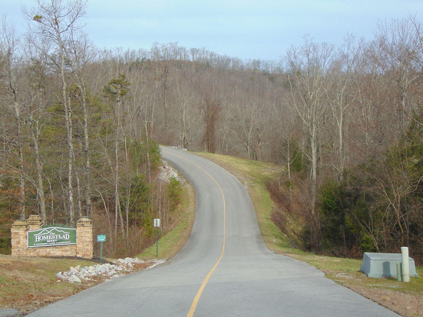 Lot 55-56 Long Rifle Road Walland, TN 37886 - Photo 7 of 23 21B4C352-DFD8-46B0-B237-CE34F07FD218