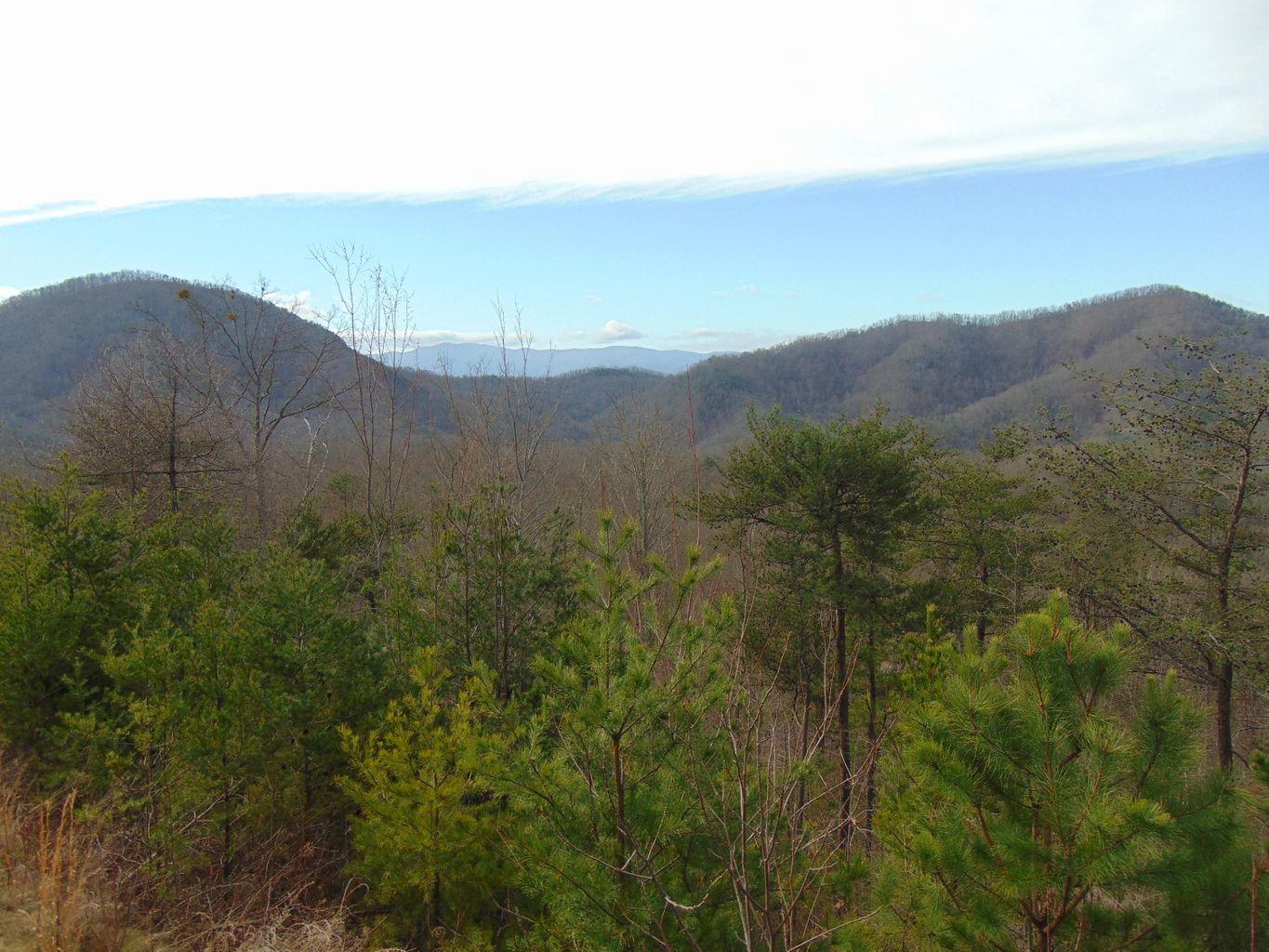 Lot 55-56 Long Rifle Road Walland, TN 37886 - Photo 9 of 23 F6E9DD99-9F99-4D3D-BDBB-455F977EEA14