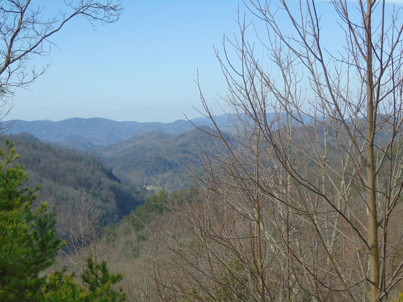 Lot 55-56 Long Rifle Road Walland, TN 37886 - Photo 10 of 23 56661570-7433-45E2-BD01-9CCC72FB2C6C